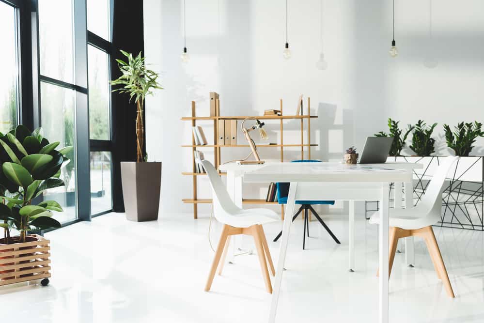 a white modern interior room with minimalistic aesthetic and 2 wood-legged chairs
